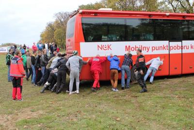 96.jpg