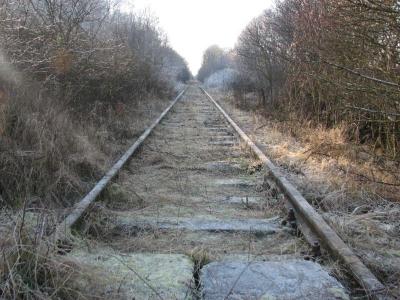33.jpg