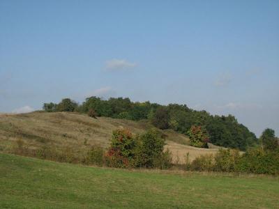37.jpg